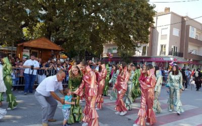 Учество на гимназијалците во Вински карневал на „Тиквешки гроздобер 2018“
