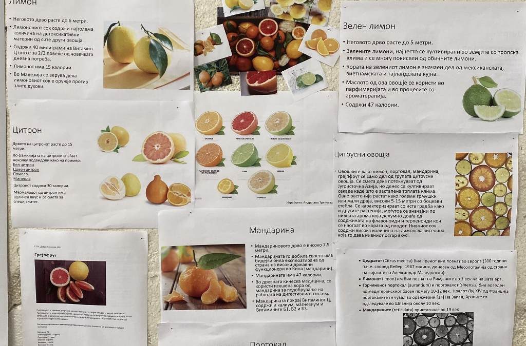 Слики и текстови од цитрусни овошја, за подобро информирање на учениците